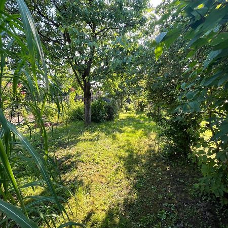 Apartament Wojska Polskiego 35 Villa Wadowice Eksteriør bilde