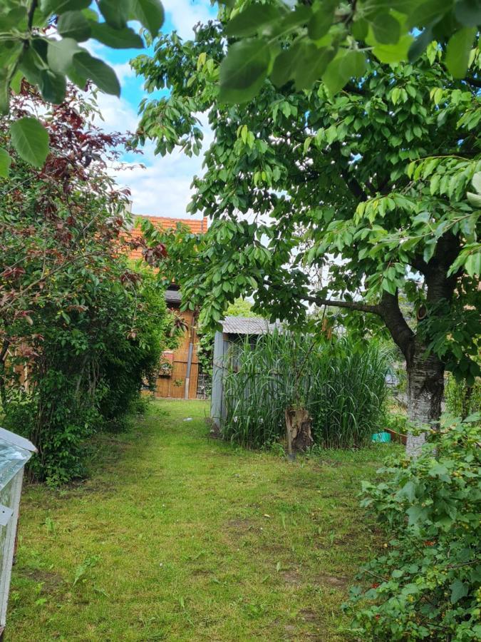 Apartament Wojska Polskiego 35 Villa Wadowice Eksteriør bilde